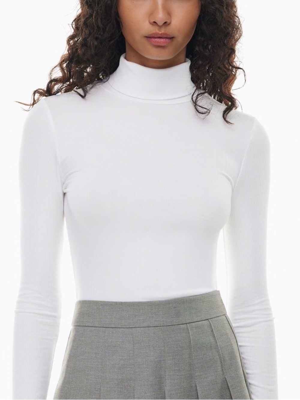 Aritzia Sunday Best Freshman Turtleneck in Brown